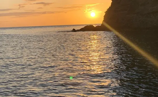 Full day on the Caribbean coast (dolphins, turtles, meals included)
