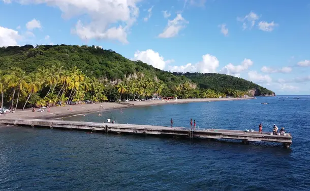 Full day on the Caribbean coast (dolphins, turtles, meals included)