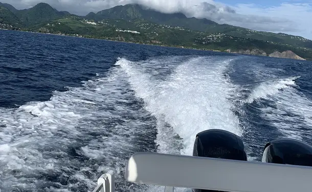 Full day on the Caribbean coast (dolphins, turtles, meals included)