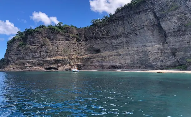 Full day on the Caribbean coast (dolphins, turtles, meals included)