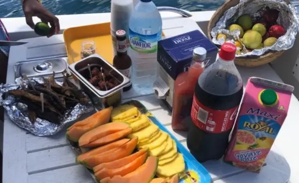 Journée complète sur la côte caraïbe (dauphins, tortues, repas inclus)