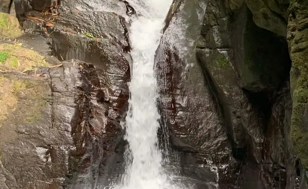 Rando Dlo - Randonnée bien-être aux pieds des Pitons du Carbet