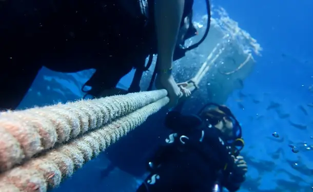 Baptême de plongée - A la découverte des fonds marins