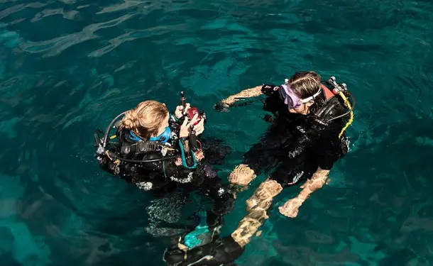 Scuba diving - Discovering the seabed