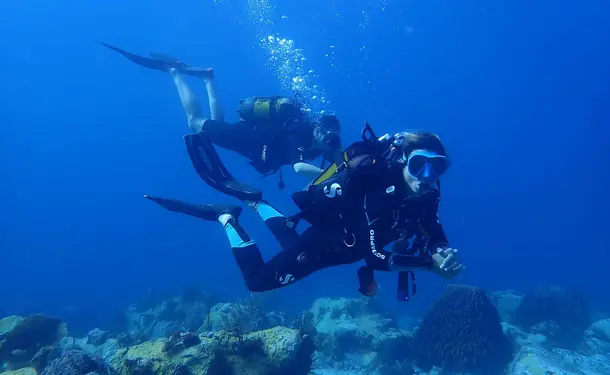 Scuba diving - Discovering the seabed