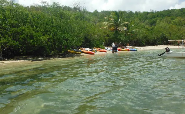 Balade en kayak à l'îlet Chancel et la mangrove