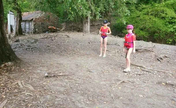 Kayak rental - trip to the Chancel islet and the mangrove