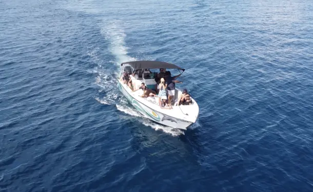 Morning in the North Caribbean with dolphins
