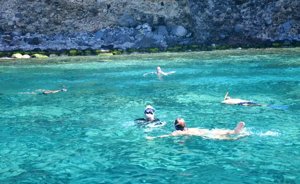 Morning in the North Caribbean with dolphins