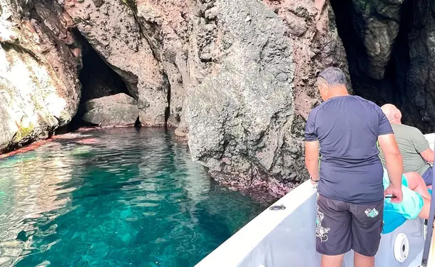 Morning in the North Caribbean with dolphins