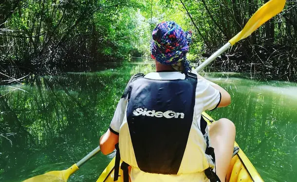 Petite randonnée guidée en Kayak dans la mangrove des Trois-Ilets