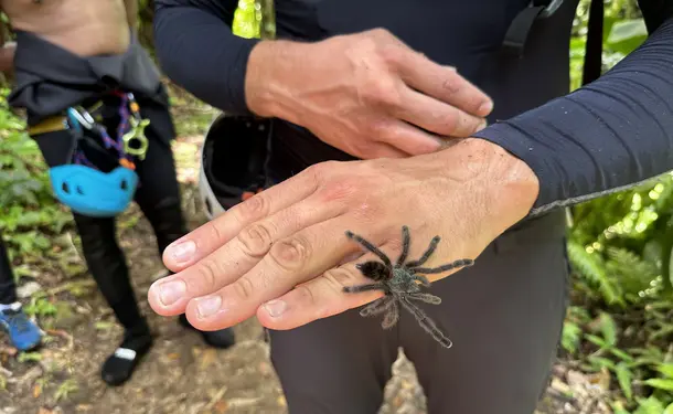 Canyoning, land and rivers for everyone