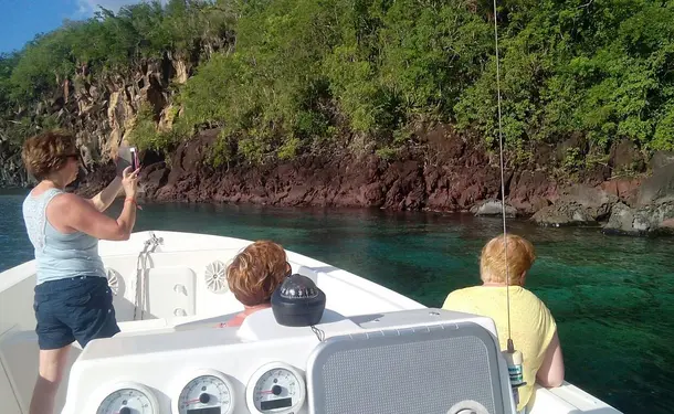 Matinée sur la côte caraïbe avec les dauphins