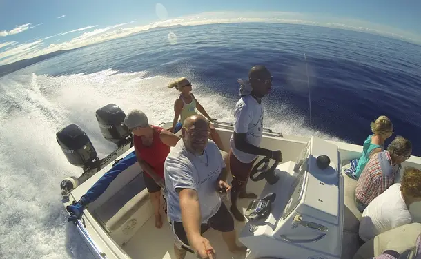Matinée sur la côte caraïbe avec les dauphins