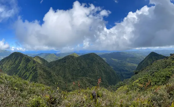 Hike to the summit of Piton Lacroix