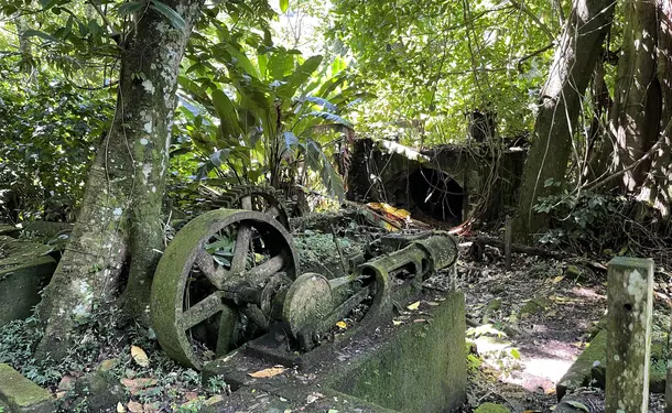 La randonnée inoubliable d'Anse Couleuvre à Grand Rivière