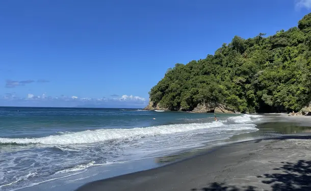 An unforgettable hike from Anse Couleuvre to Grand Rivière