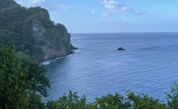 La randonnée inoubliable d'Anse Couleuvre à Grand Rivière