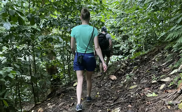 La randonnée inoubliable d'Anse Couleuvre à Grand Rivière
