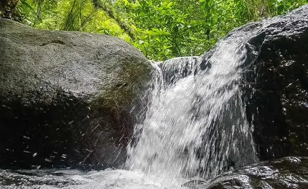 Rando Dlo - Wellness hike at the foot of the Pitons du Carbet