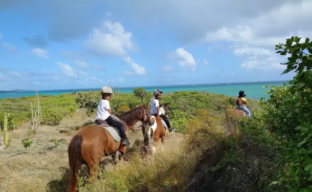 Balade à cheval le long de la côte littorale de l'anse Macabou