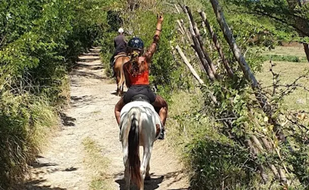 Balade à cheval le long de la côte littorale de l'anse Macabou