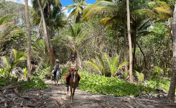 Horseback riding along the coastline of Macabou Cove