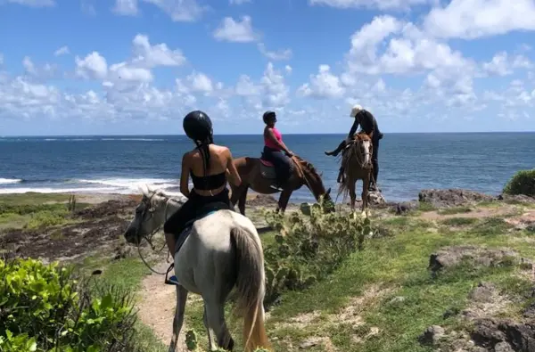 Balade à cheval le long de la côte littorale de l'anse Macabou