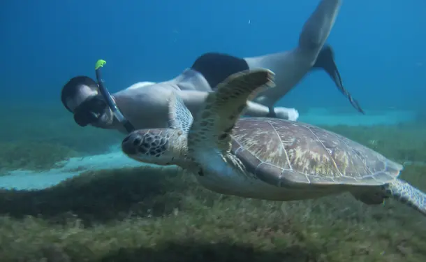 Journée catamaran en petit comité avec les tortues