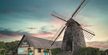 The Trois Rivieres Rum Factory 
