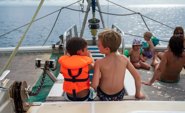 Journée catamaran au nord de l'île avec les dauphins