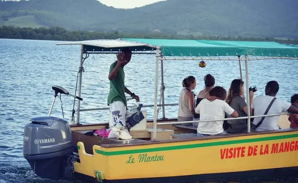 Immersion dans la mangrove de Génipa
