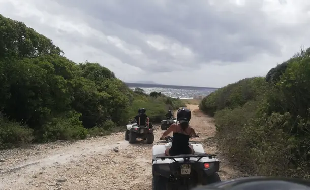 Aventure Tropicale en Quad et Buggy à Saint-François