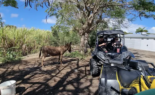 Aventure Tropicale en Quad et Buggy à Saint-François