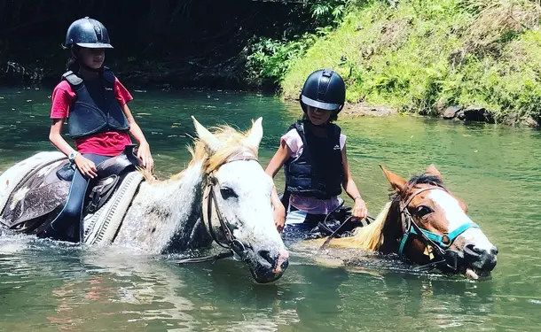 Horse & river for an enchanted ride