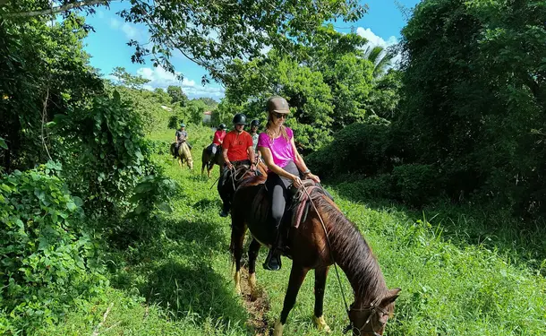 Cheval & rivière pour une balade enchantée