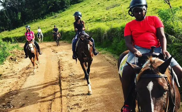 Balade à cheval découverte à Goyave