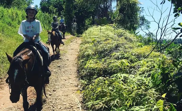 Discovery horse ride in Goyave