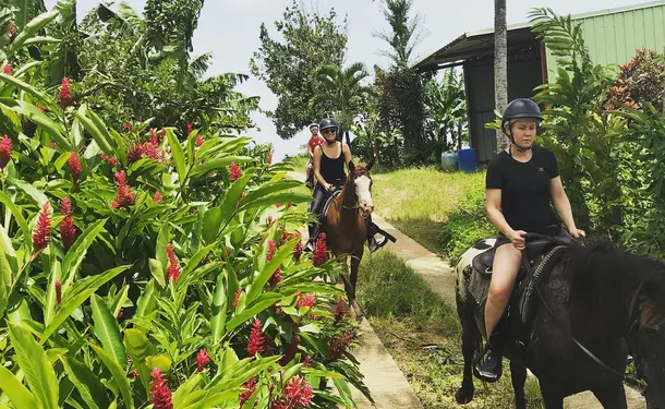 Discovery horse ride in Goyave