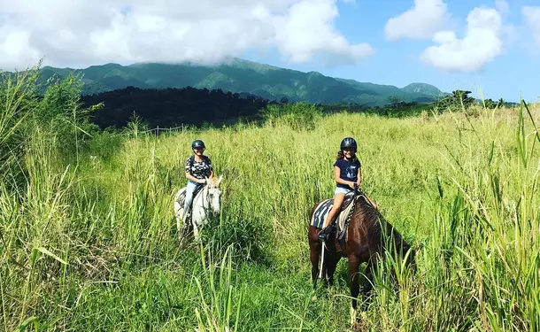 Balade à cheval découverte à Goyave