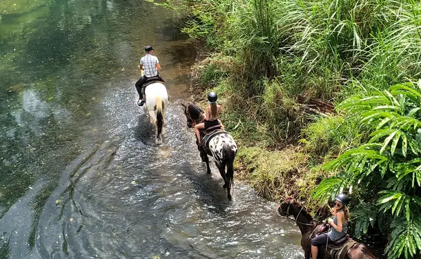 Cheval & rivière pour une balade enchantée