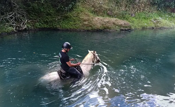 Cheval & rivière pour une balade enchantée