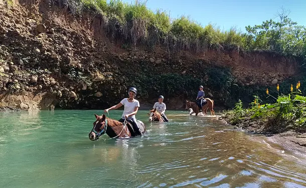 Horse & river for an enchanted ride