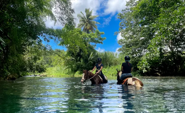 Cheval & rivière pour une balade enchantée