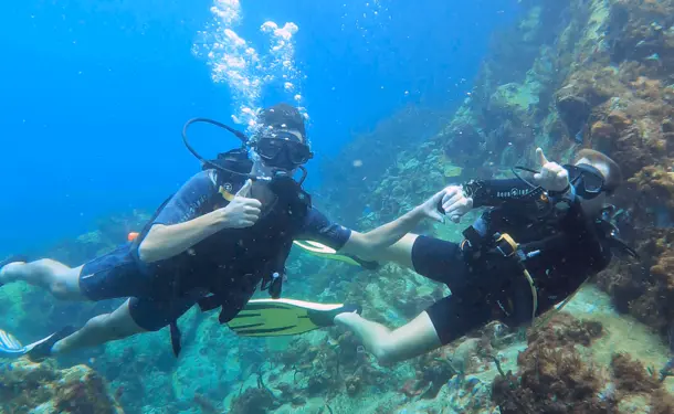 Baptême de plongée en mer des caraïbes