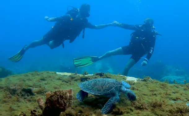 Baptême de plongée en mer des caraïbes