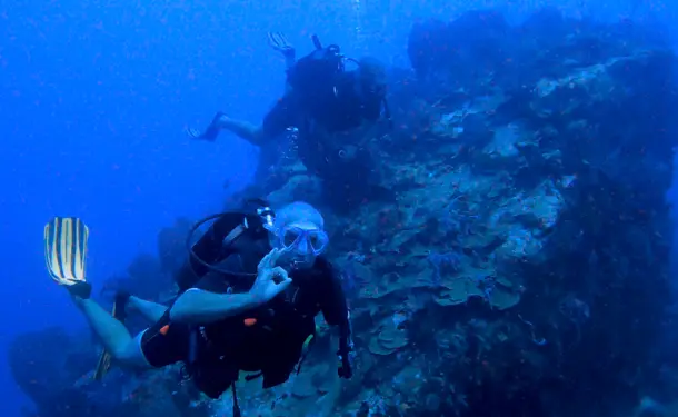 Diving trip in the Caribbean Sea (for graduates)