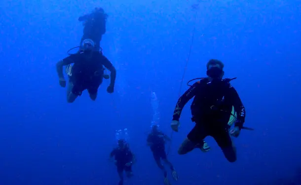 Escapade plongée en mer des caraïbes (pour diplômés)