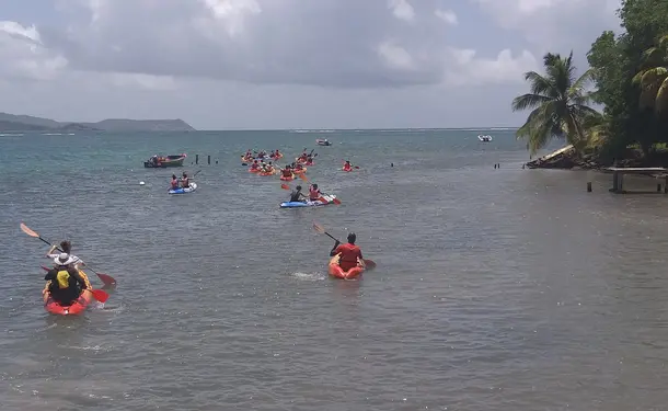 Balade en kayak à l'ilet Chancel, l'île des iguanes