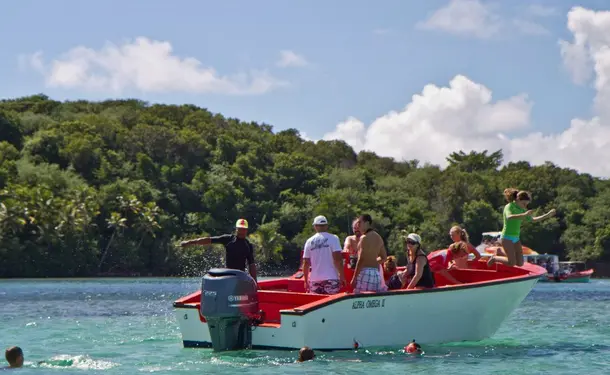 Journée bateau complète sur la côte Est de l'île